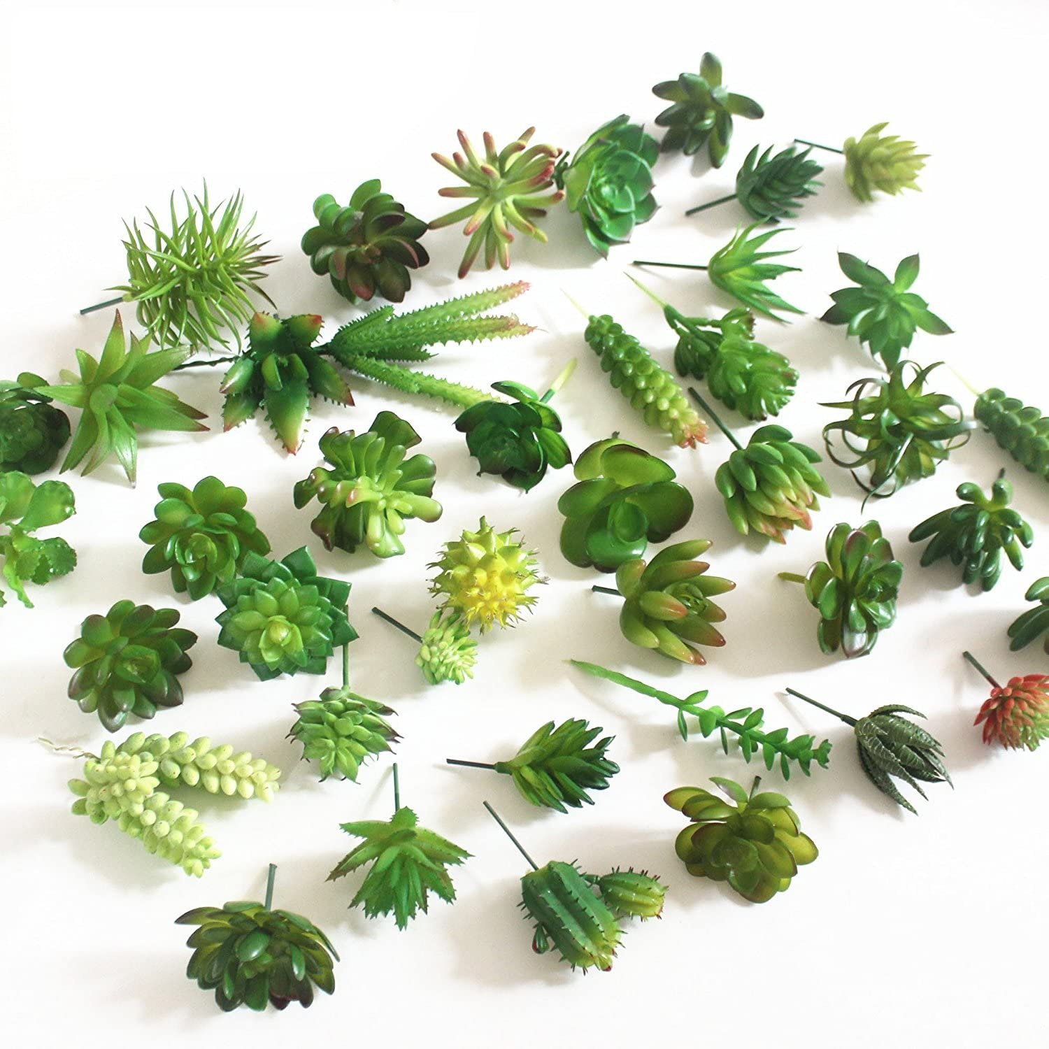 Echeveria Succulent - 15 pçs plantas suculentas artificiais decorativas