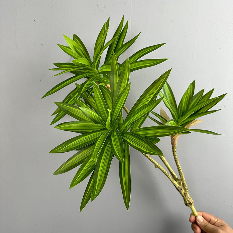 Dracaena Marginata - Plantas verdes simuladas, 3 cabeças, lírio,