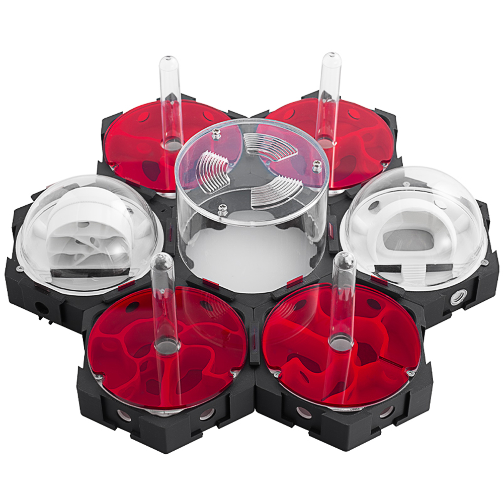 Impressão 3d ninho de formiga  - Begonia Rex avaliação e preço