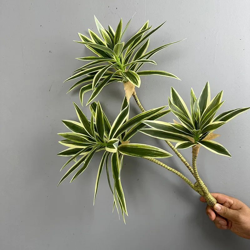 Plantas verdes artificiais lír - Dracaena Marginata avaliação e preço