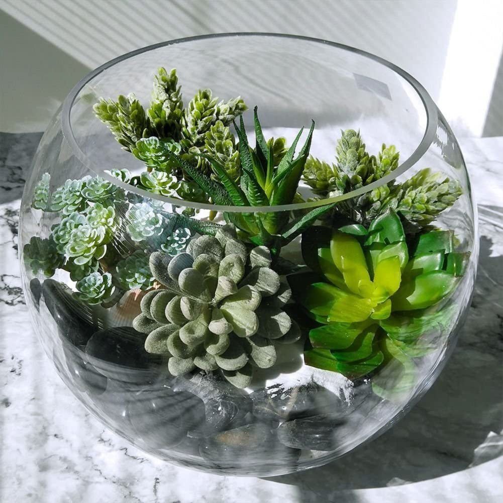 15 pçs plantas suculentas arti - Echeveria Succulent avaliação e preço