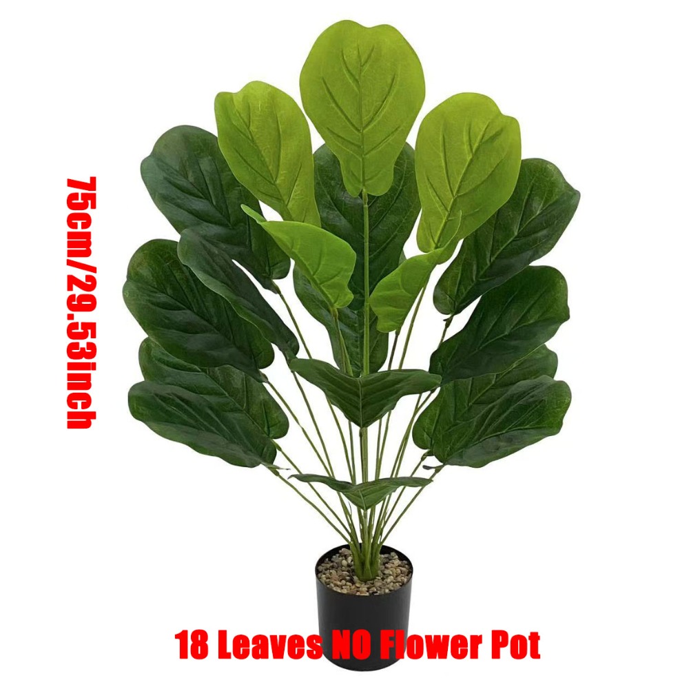 1 unidade de Ficus Lyrata Arti - Ficus Lyrata Tree avaliação e preço